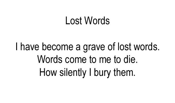 Lost Words
