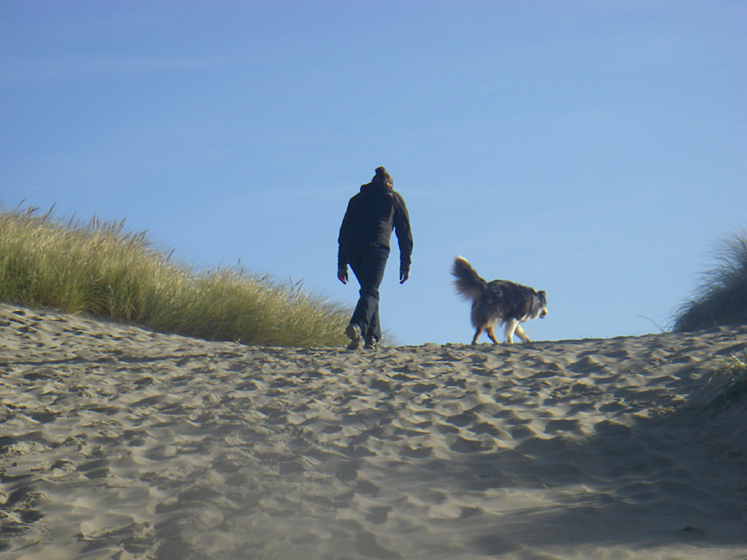 South Beach State Park - South Jetty