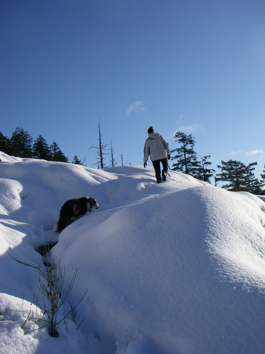 Christmas hike