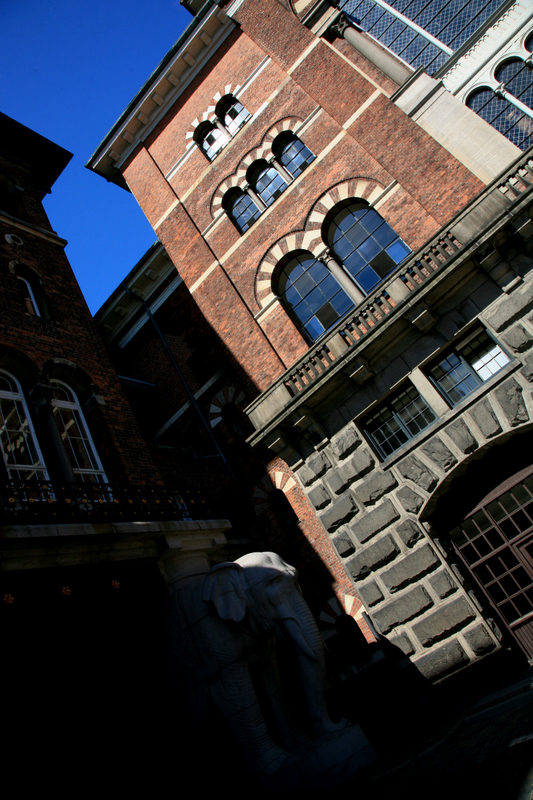 _MG_1041.jpg