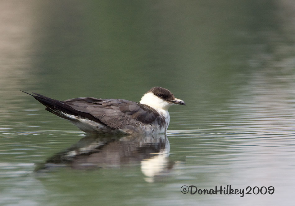 LTJaeger5522-02SEPT2009-Whitewater.jpg