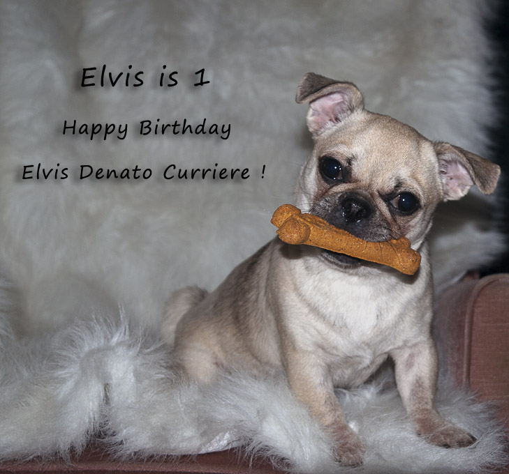 Happy Birthday Elvis