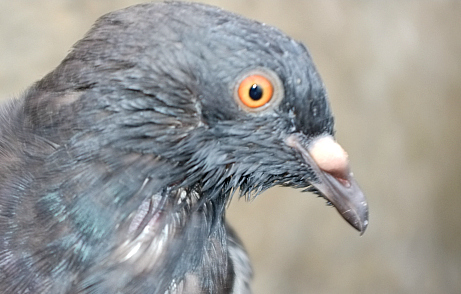 DSCF8612XXX.jpg