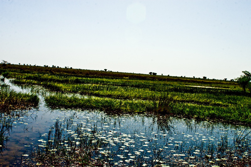 Lots of water around Djenne
