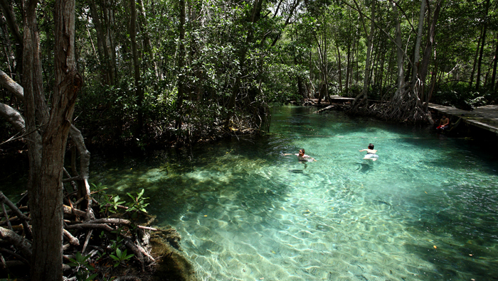 Celestun lagoon3.jpg