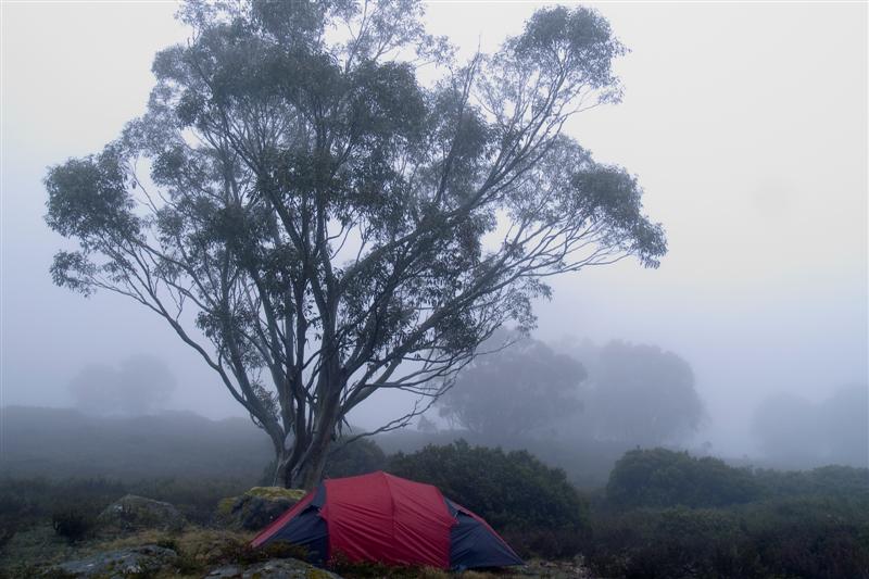 Our tent the in morning