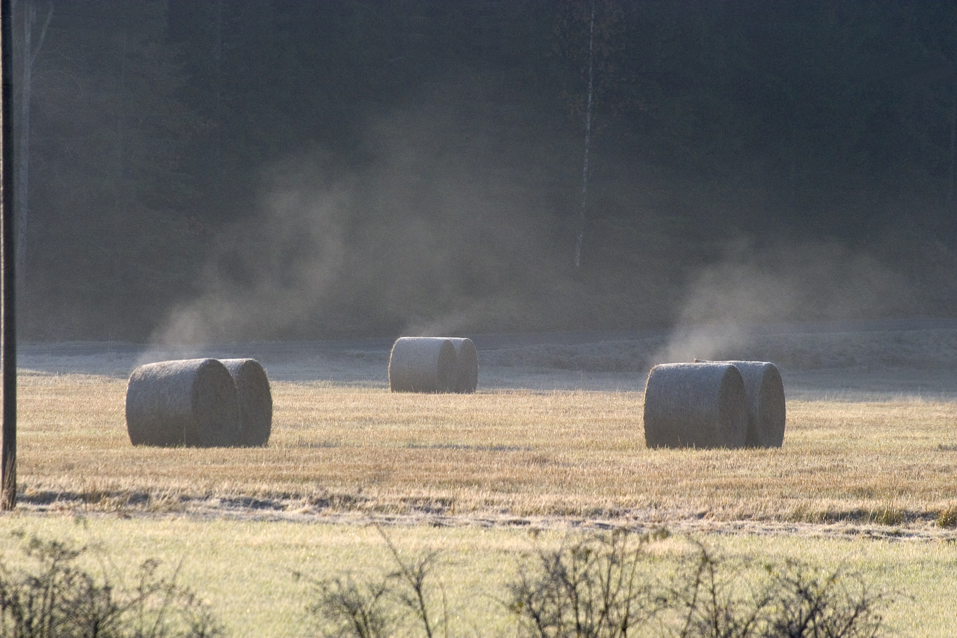 misty morning
