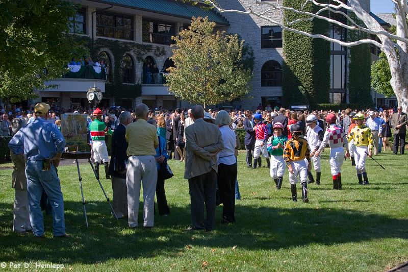 Crowded paddock