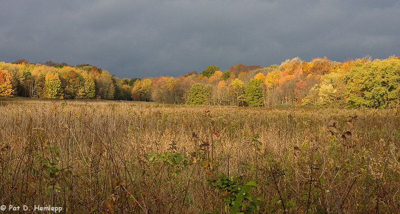 Color under clouds