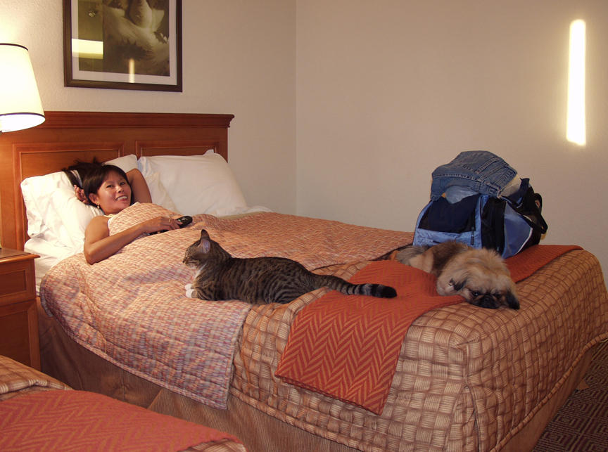 Bed Time For Everyone But Me..!!