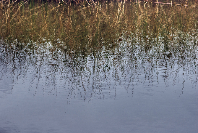 Reed Reflection