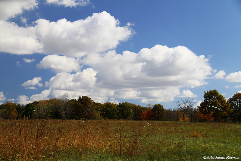 Lakewood Forest Preserve (10783)