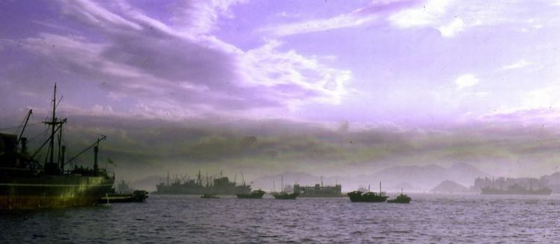 harbor.jpg