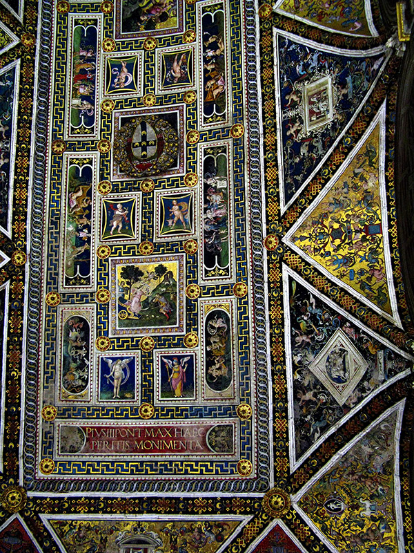 Ceiling .. S9269