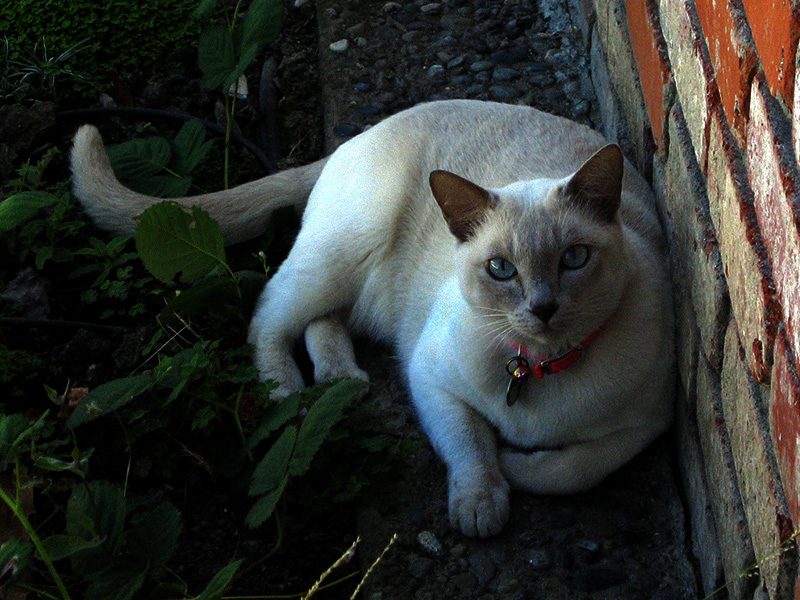 Casper .. 1444