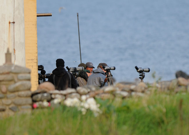 En glad Jens Morin har precis kryssat Sngsparv p Nidingen. 30 Maj-10