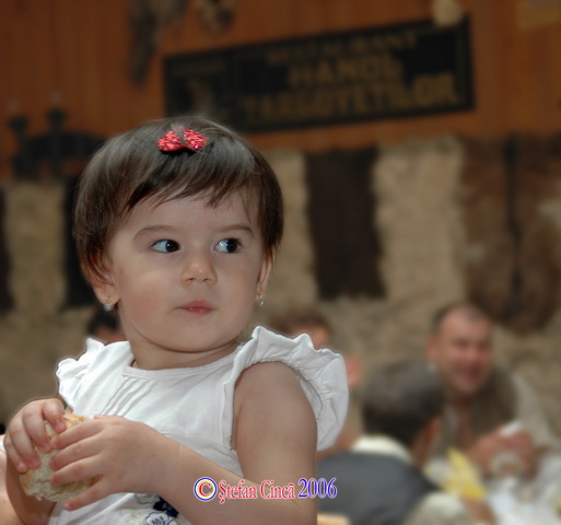 DSC_1501.JPG
