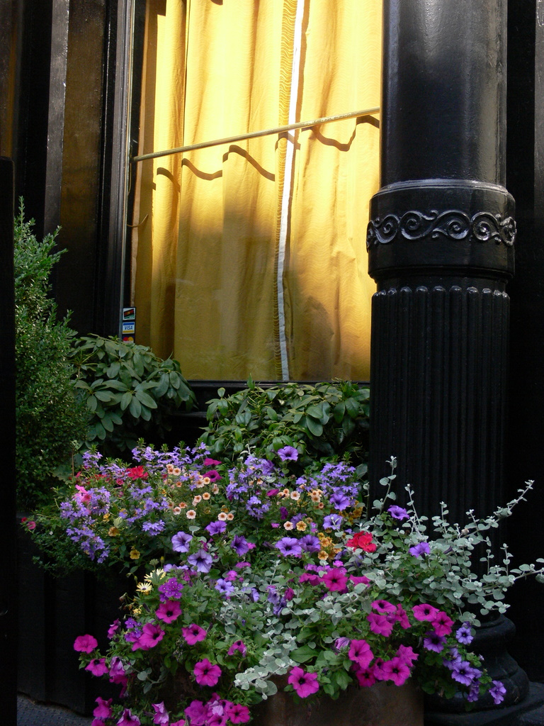 Flowers in Soho