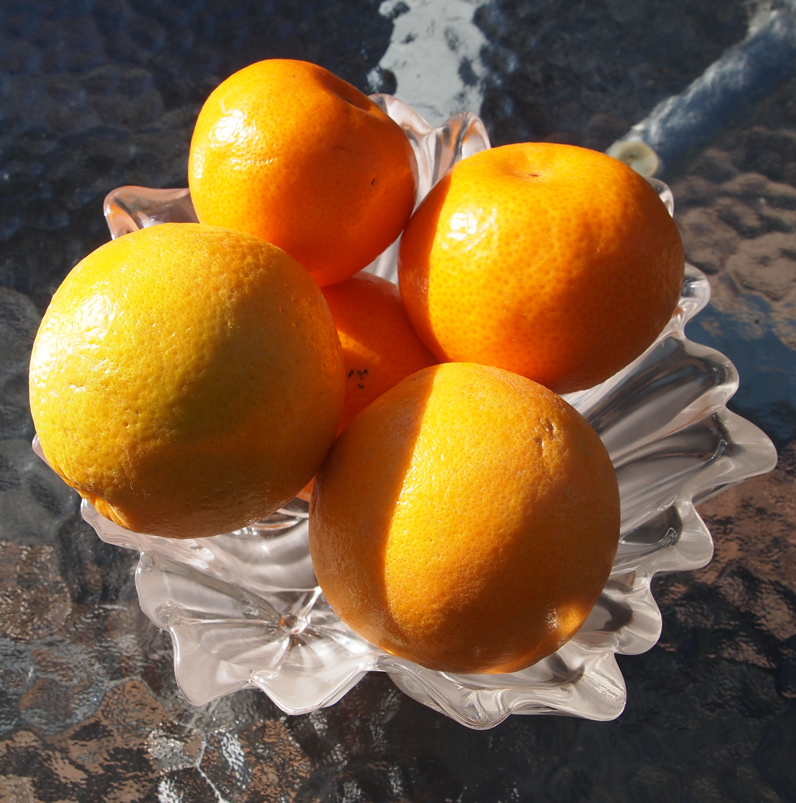 Oranges and Sunshine