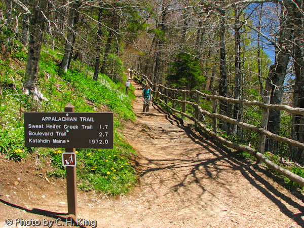 Trail to Maine