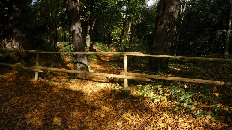 fall