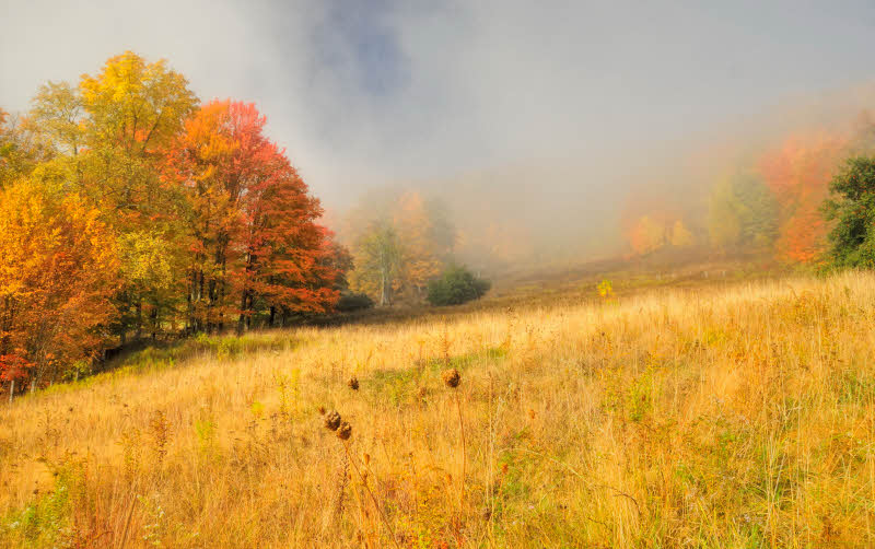 10/13/08 - Mountain Meadow