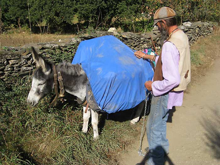day 5 french pilgrim with donkey starting the day