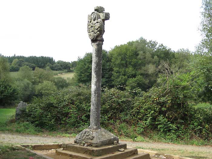 galician cross