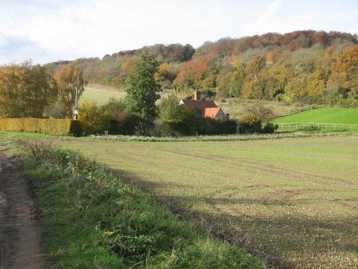 fillingdon farm - postcard setting