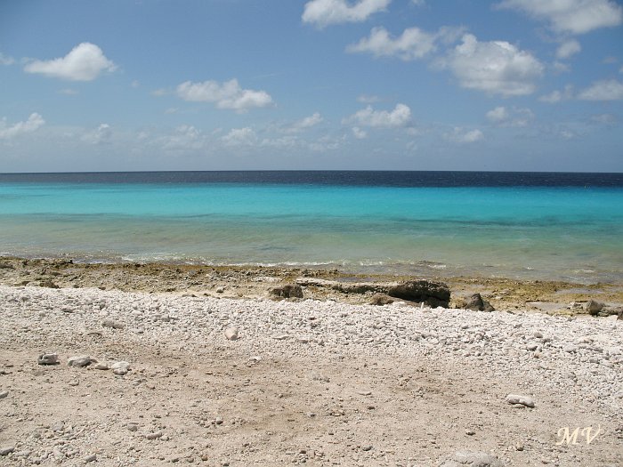 IMG_6851.JPG