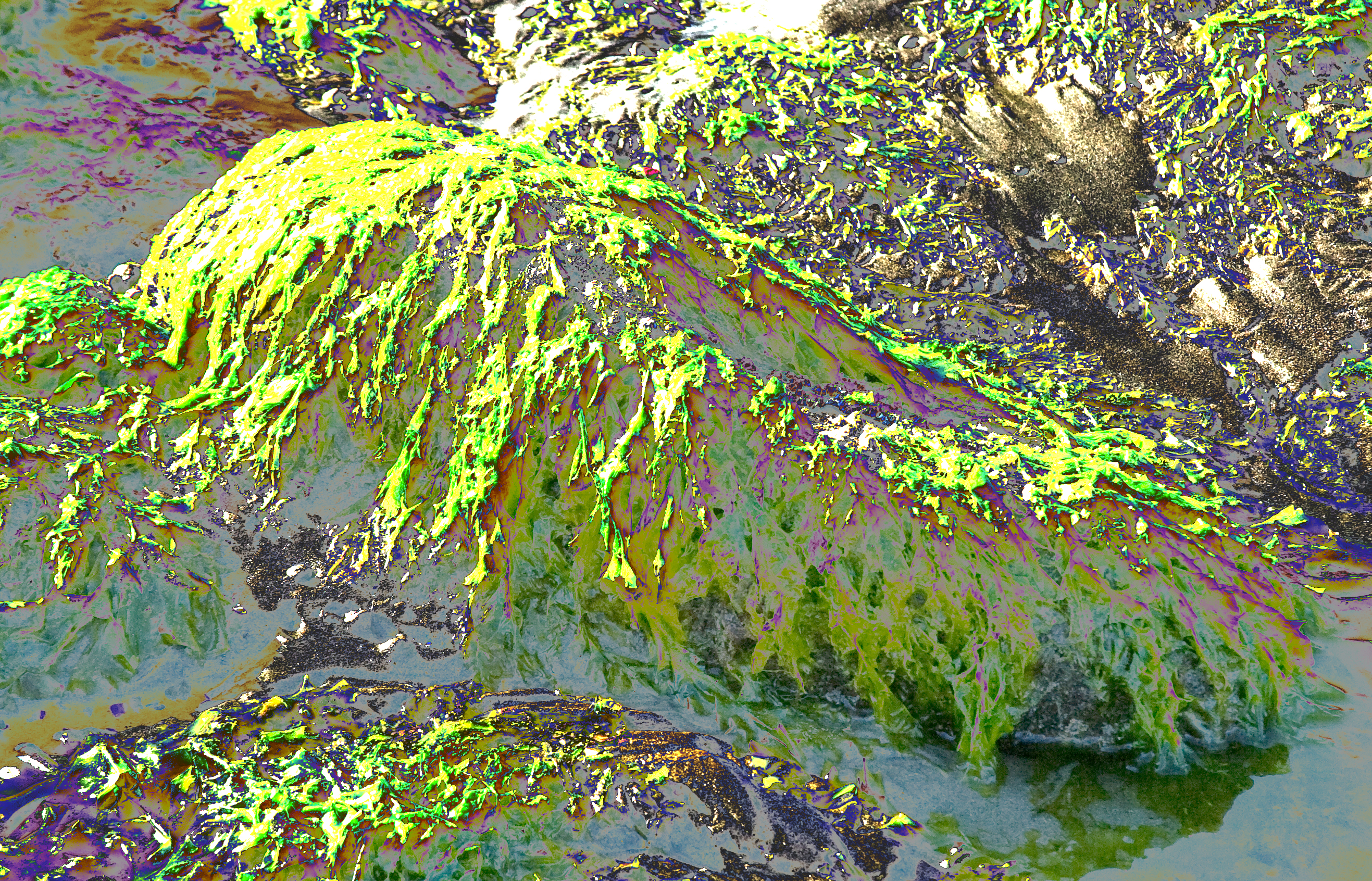 IMG_2499crop.jpg