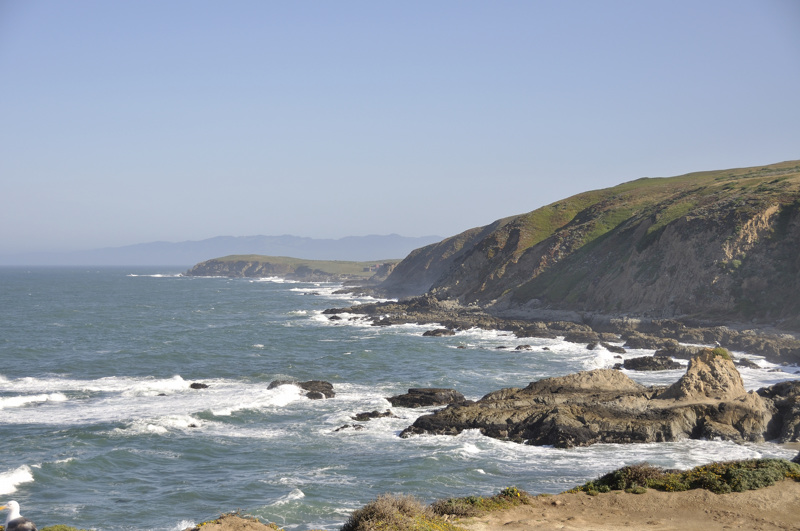 bodega bay DSC2923.jpg