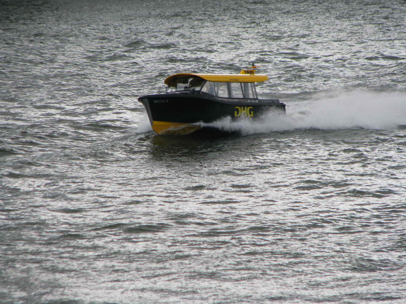 IMG_7955.JPG