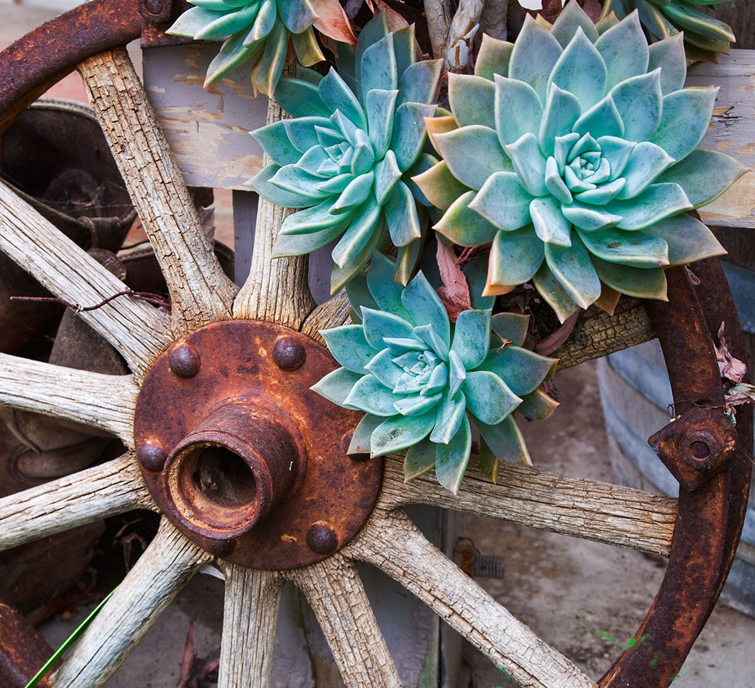 Wheel Version II