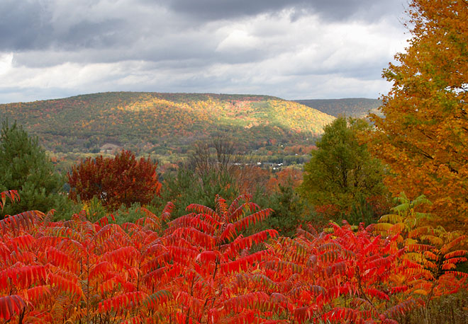 Alegheny River Valley