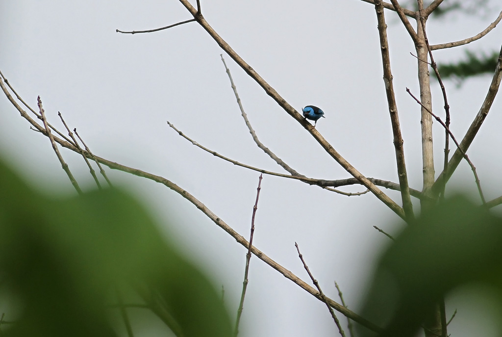 IMG_4963.15.2.jpg