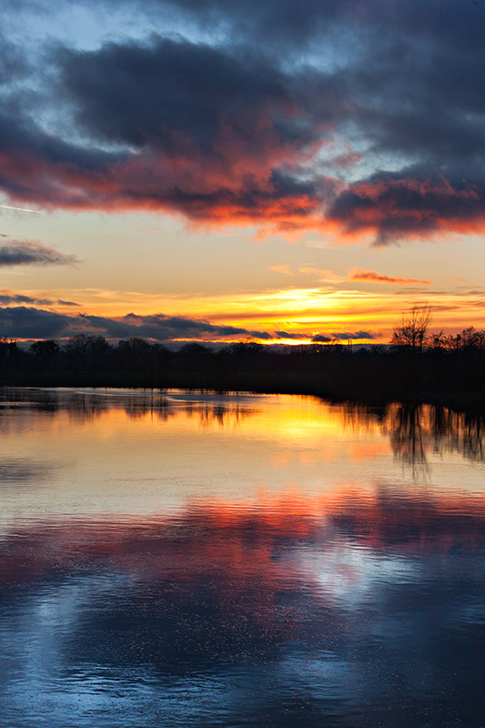 Shannon Sunset