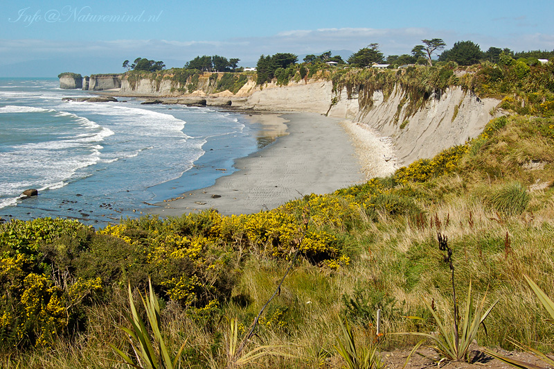 Cape Foulwind PSLR-0830.jpg