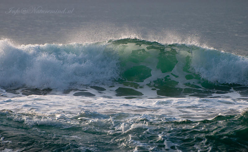 Rakautara coast  PSLR-6033.jpg