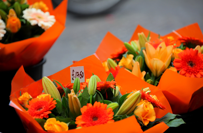 IMG_2766_1.jpg