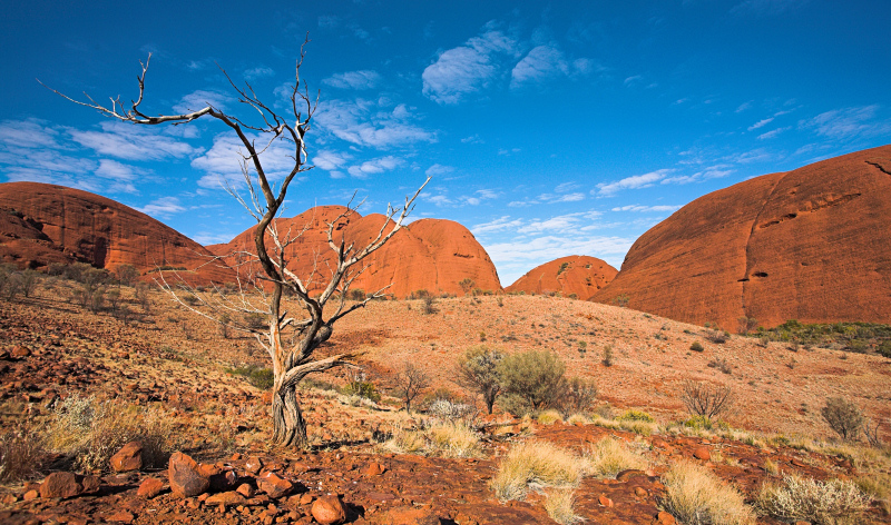 Kata Tjuta Valley of the Winds landscape