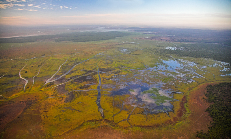 Wetlands of Kakadu National Park