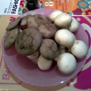 o3/34/271834/1/137871888.ecom2tBN.20110907Mushrooms.jpg