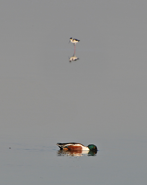 Quiet Reflections