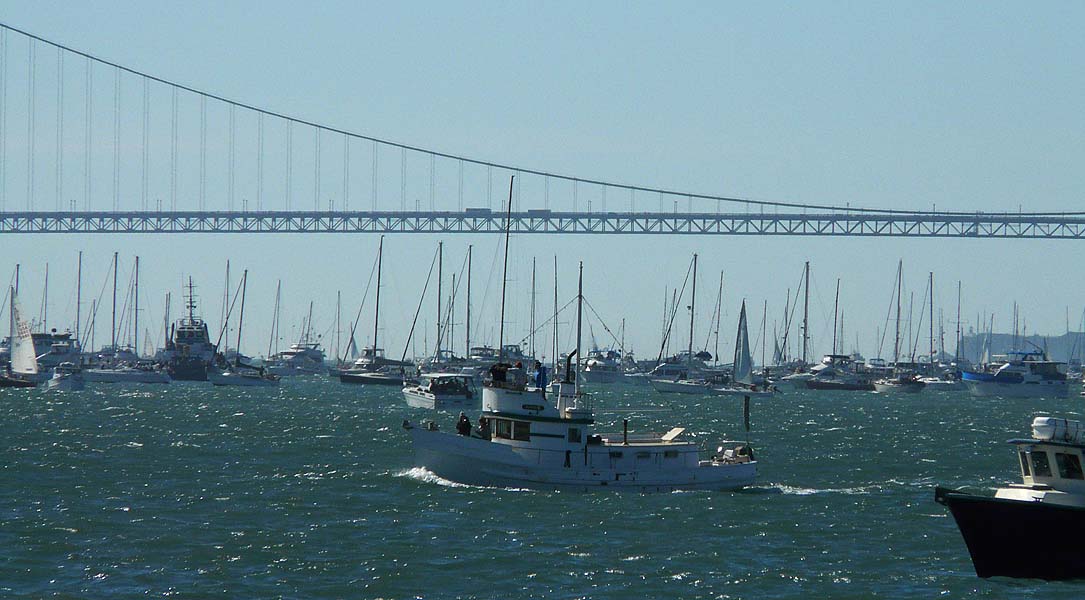 A Crowd of Masts Under the Golden Gate