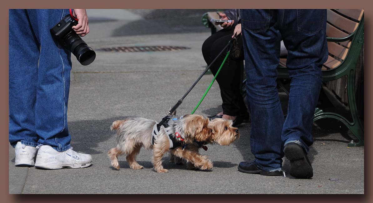 Maybe THIS guy has some treats. . . .