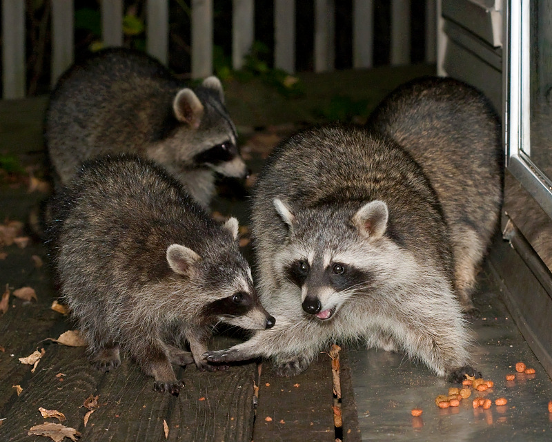 Not Sharing!