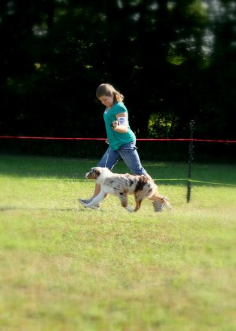 Haley and Sloan Saukville,Wi Asca show