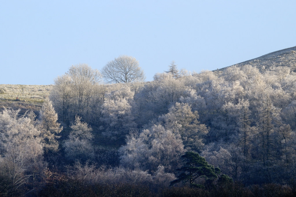 reappearance of the sun after days of fog/frost