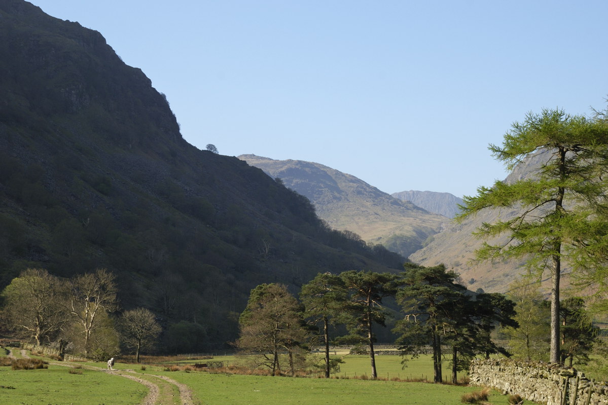 Seathwaite valley, central fells on the horizon